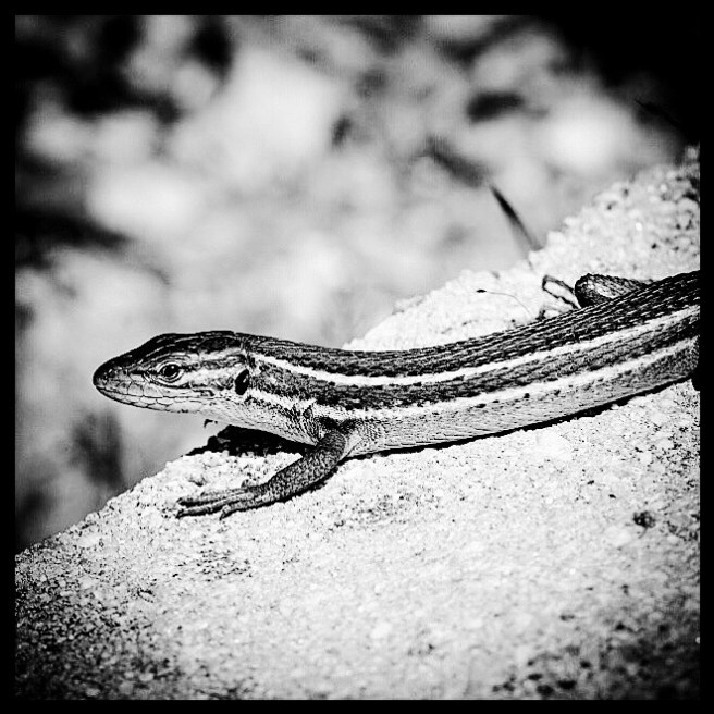 13CA61FC-3C52-4635-B3E9-5AA1952D9727