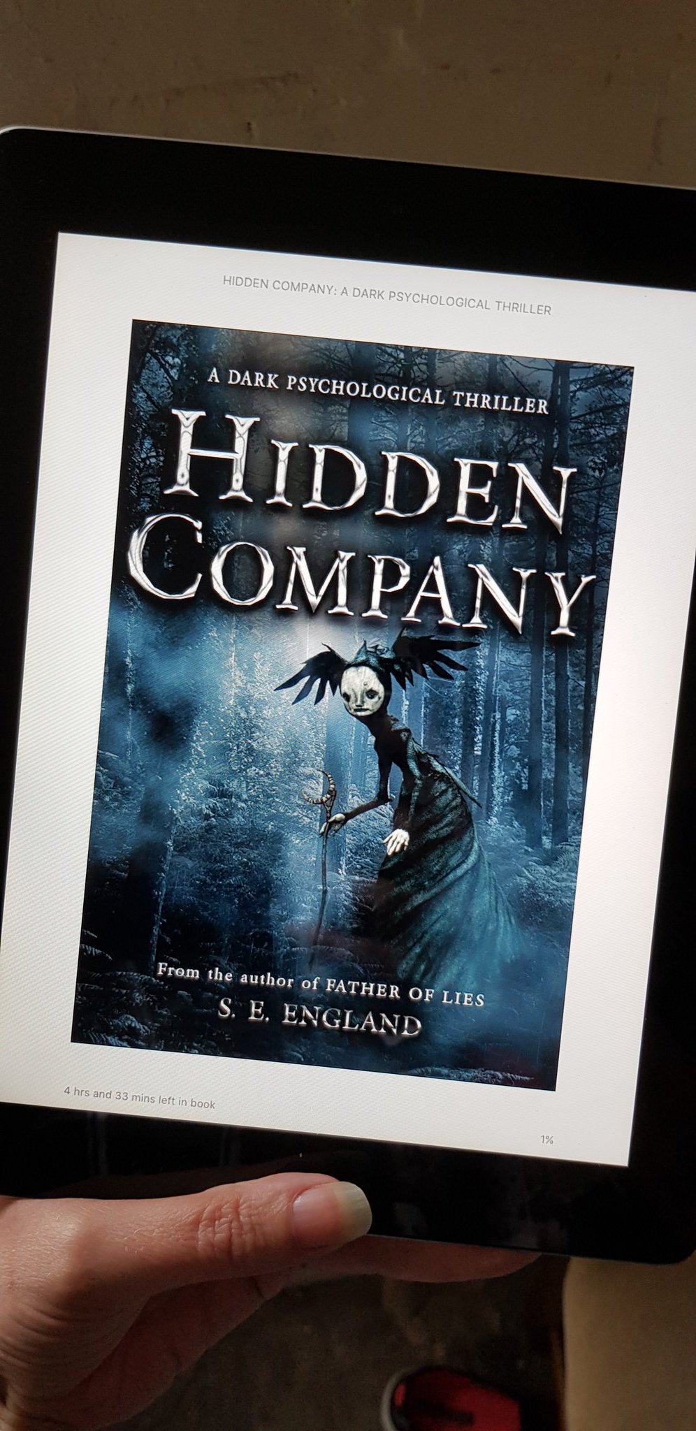 Hidden Company