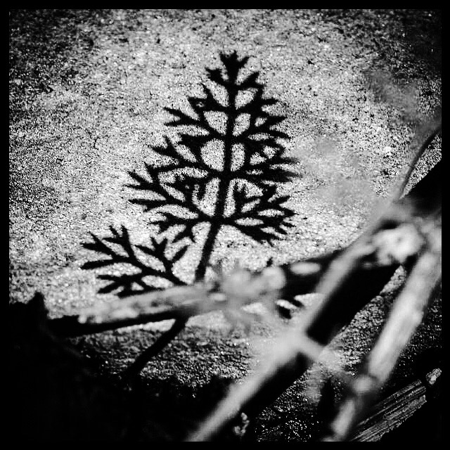 39DE5DE1-AE9F-4A43-9719-AE3CA9EAB0D0