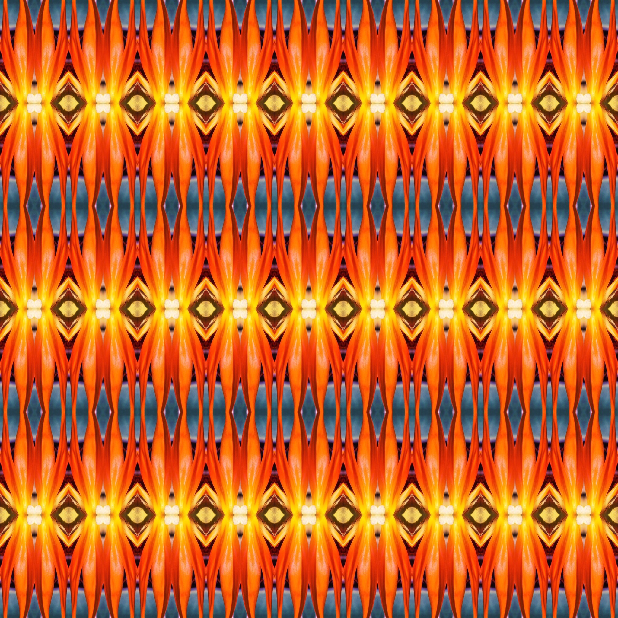 6CC54F84-C60C-46E1-A9AE-3FC35D303E43