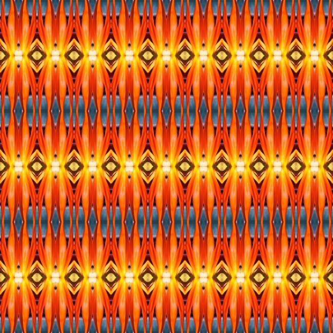 6CC54F84-C60C-46E1-A9AE-3FC35D303E43