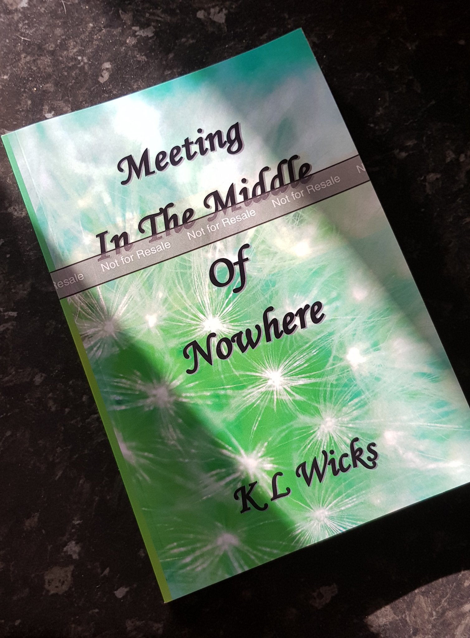 Proof cover - MITMON