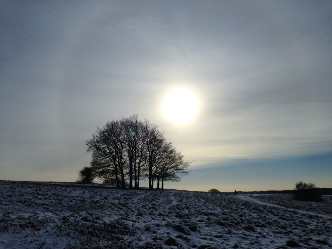 IMG_20200120_132315_760