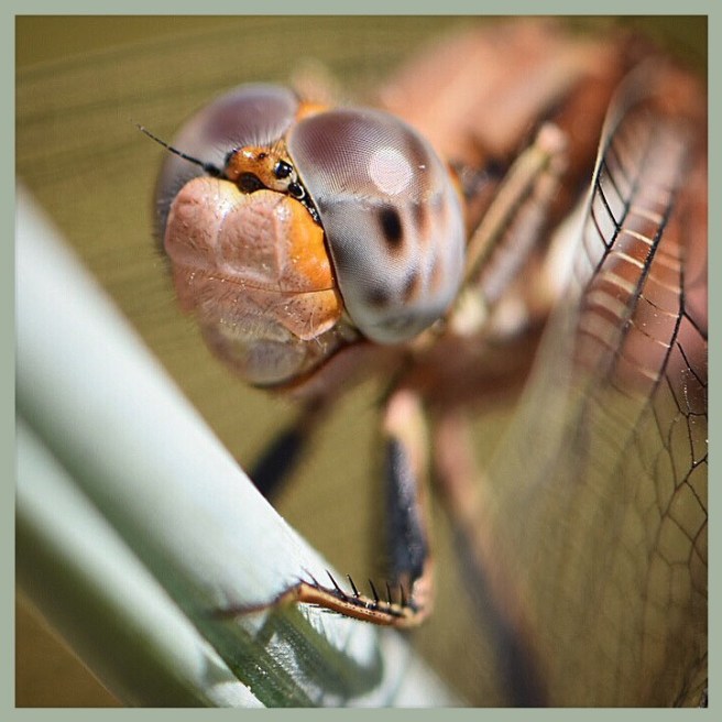 B2CB06F9-C5C2-479A-9293-40C810CA8029