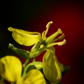 IMG_20190525_143338_024