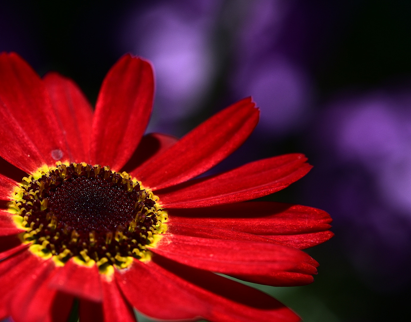 IMG_20190622_122620_823