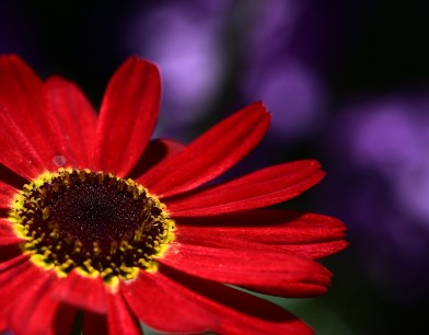 IMG_20190622_122620_823