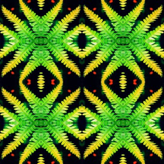 4B141349-6504-428B-BA30-8CE5FE889E0D