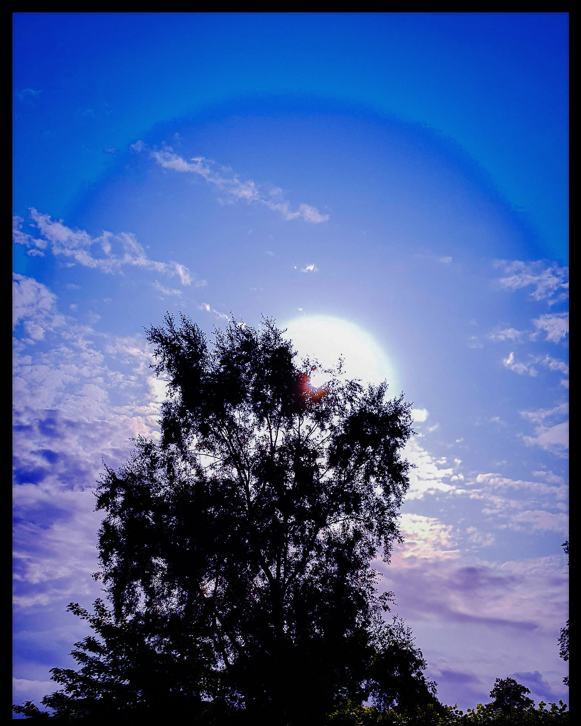 IMG_20190730_150658_127