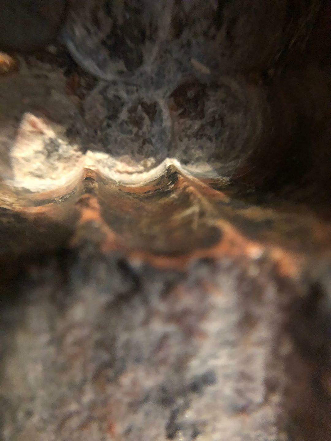 IMG_20200517_200543_679