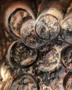 IMG_20200517_200548_675