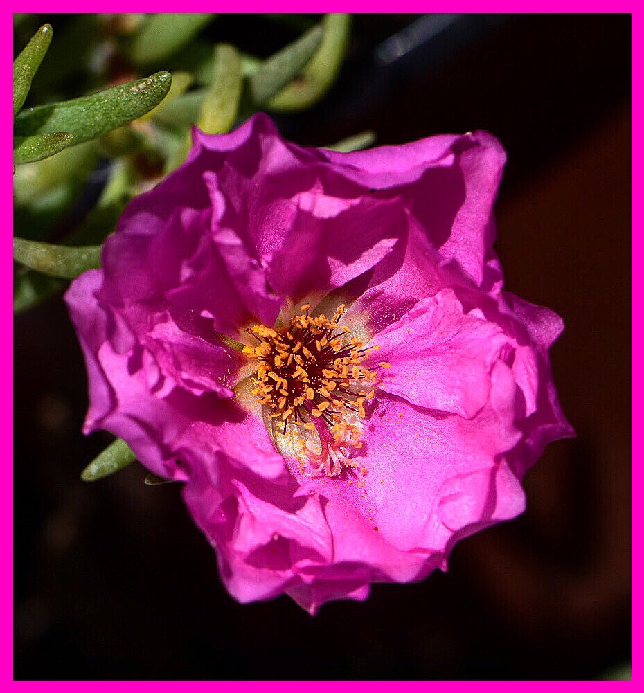 0C253DFD-6EA6-4C4B-8DD6-F0B592D571A9