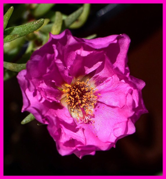 0C253DFD-6EA6-4C4B-8DD6-F0B592D571A9