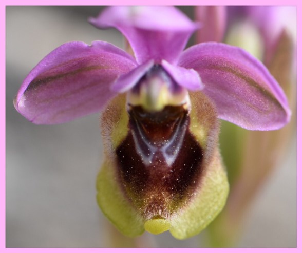 84B6F046-86CD-4888-8186-9EDE8CB90407