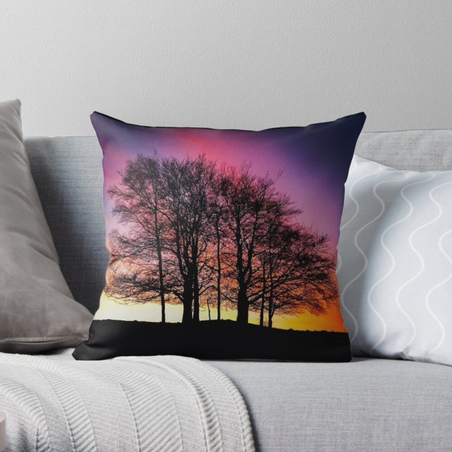 throwpillow,small,1000x-bg,f8f8f8-c,0,200,1000,1000