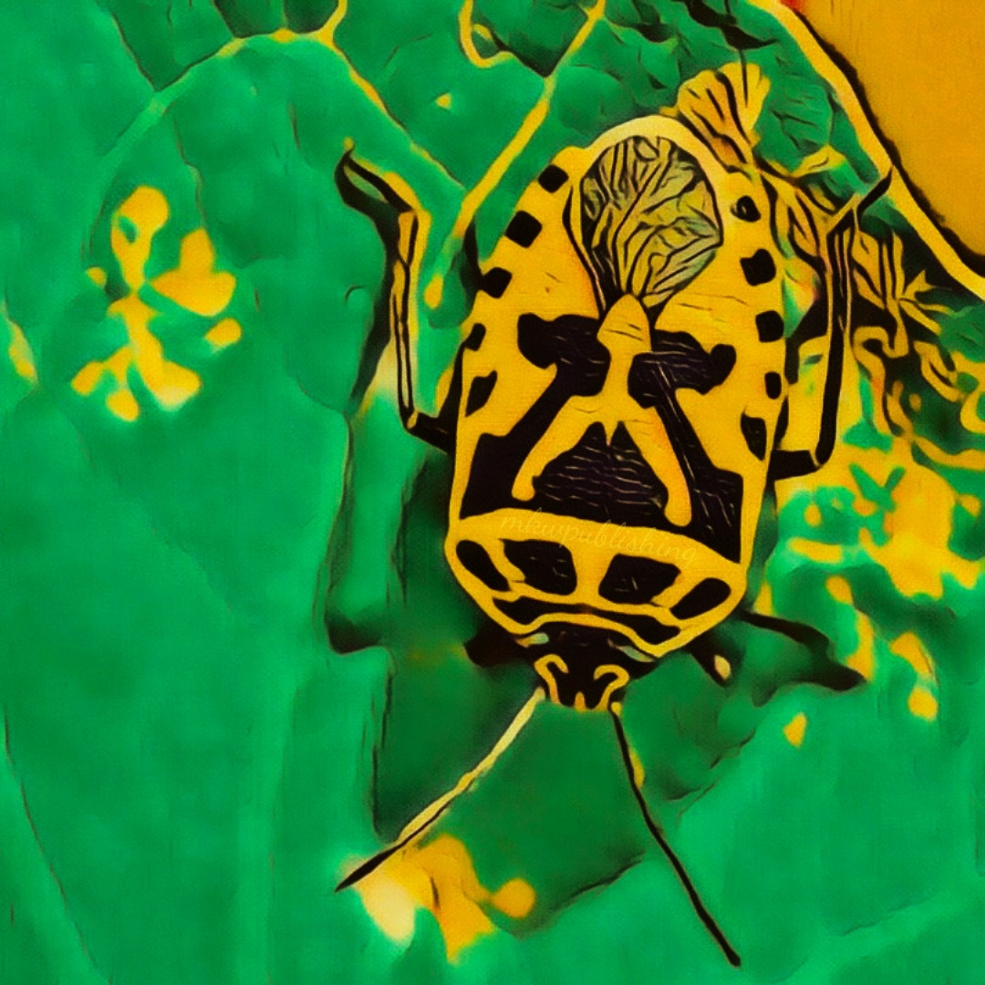 Shieldbug | MKW Publishing