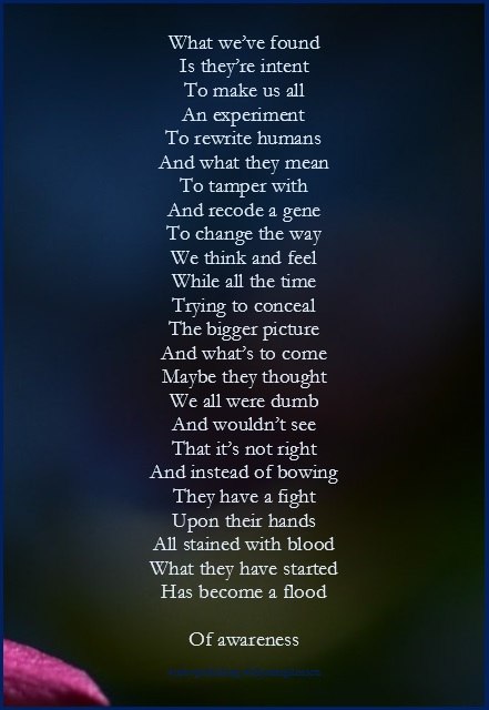 What We Ve Found Poetry Mkw Publishing